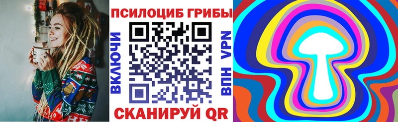мега зеркало  Киреевск  Псилоцибиновые грибы мицелий 