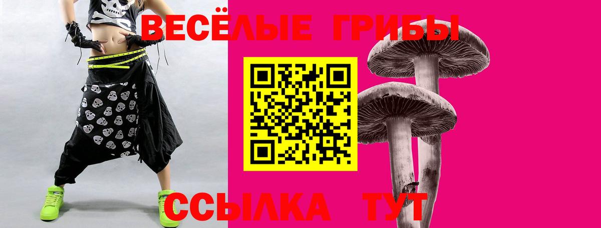 Псилоцибиновые грибы мицелий Киреевск