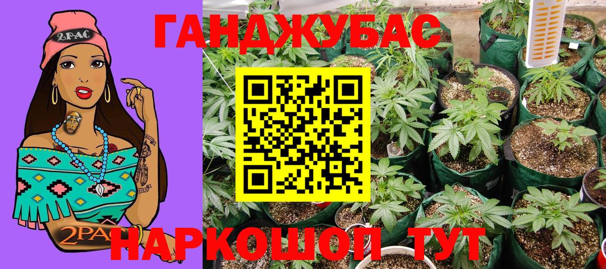 Бошки марихуана ГИДРОПОН  МАРИХУАНА планчик  Вход с VPN  Киреевск  Канабис семена 